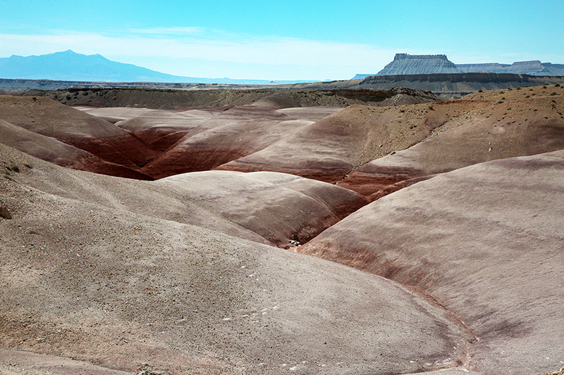Bison : Antelope Island : Utah : Landscape Photos : Richard Moore : Photographer